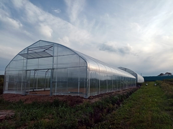 Теплица "ГАРАНТ-ФЕРМЕР-9.6"