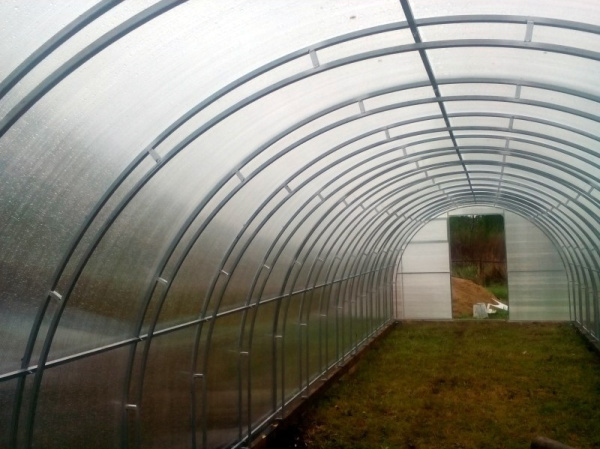 Теплица "ГАРАНТ-ФЕРМЕР-3,3 ТАНДЕМ"