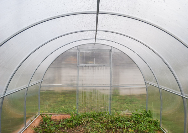 Теплица "ГАРАНТ-СТАРТ"