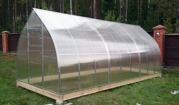 Теплица "ГАРАНТ-КАПЕЛЬКА"